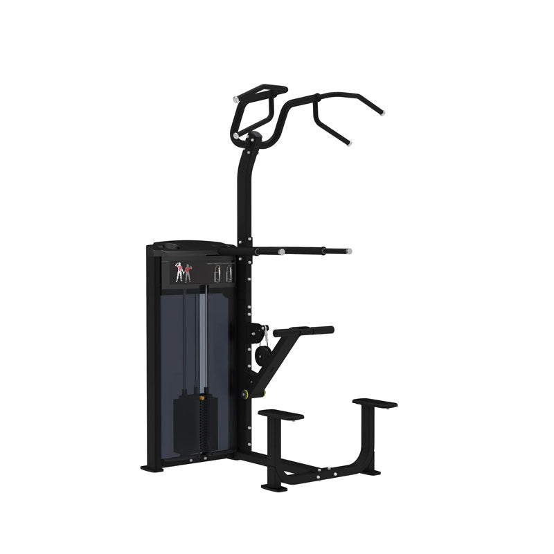 Pro Series Assisted Chin / Dip