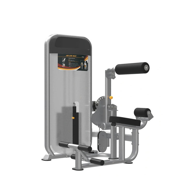 Dual Series Ab / Low Back