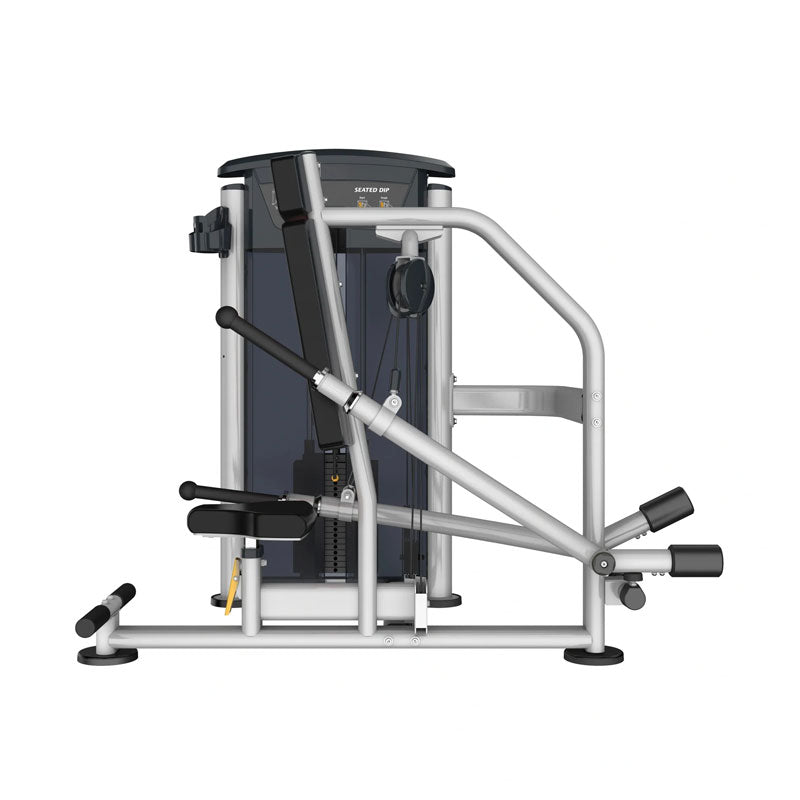 Perform Series Seated Dip