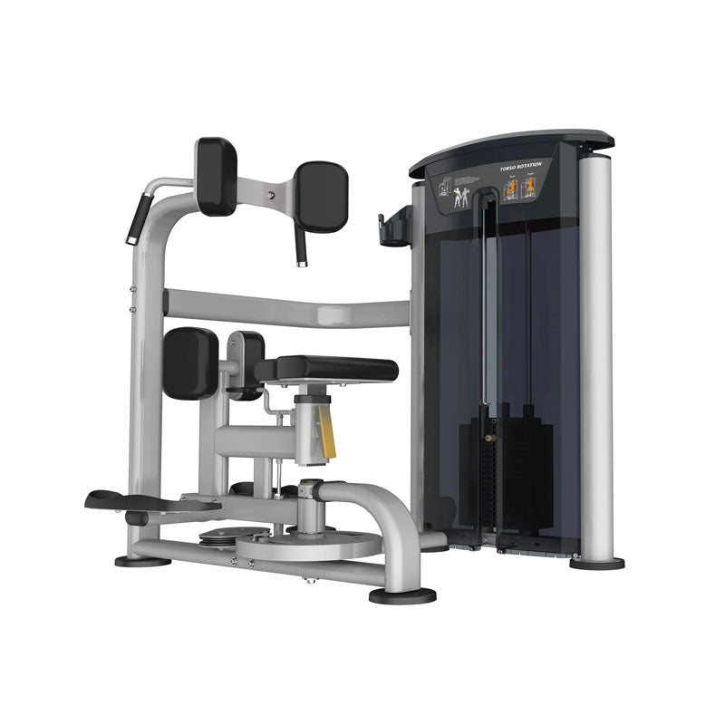 Perform Series Torso Rotation