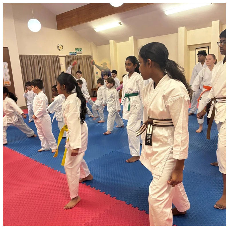 40mm Dojo Mats - 4 Colours | Reversible Design