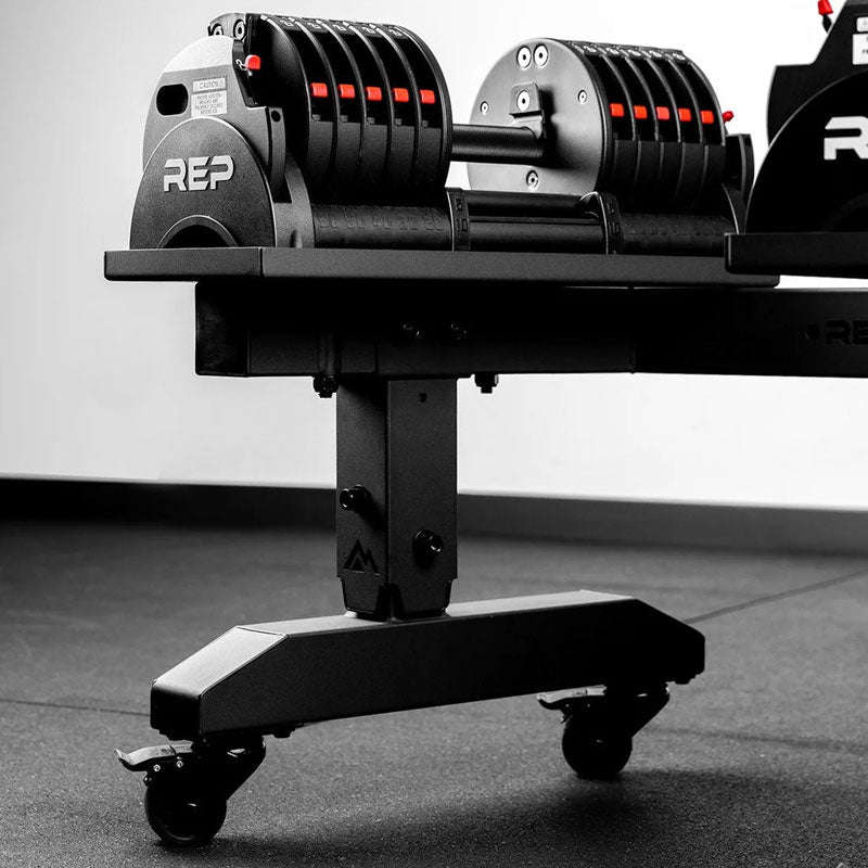 Motion Range