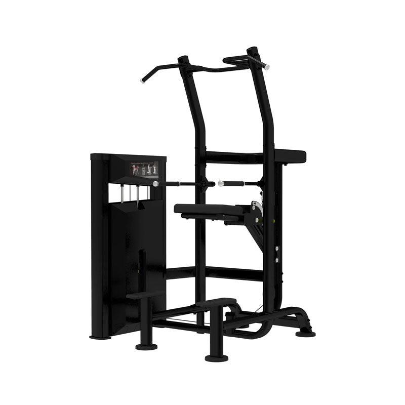 Platinum Series, Assisted Chin / Dip
