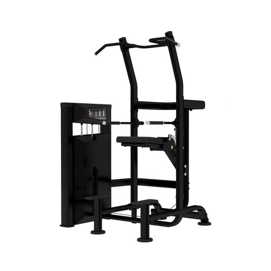 Platinum Series, Assisted Chin / Dip