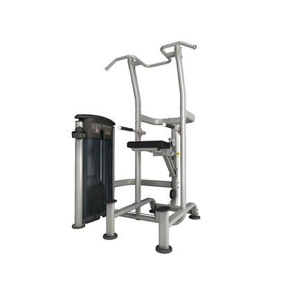 Perform Series Assisted Chin / Dip