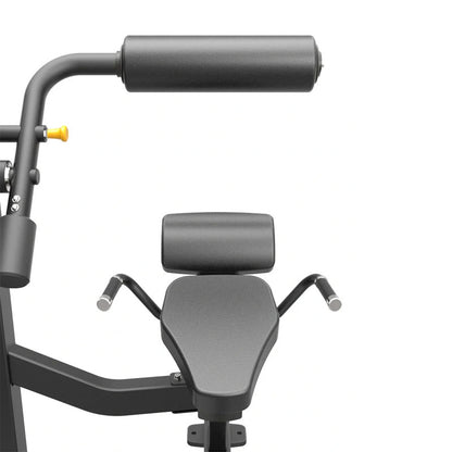 Pro Series Ab / Back