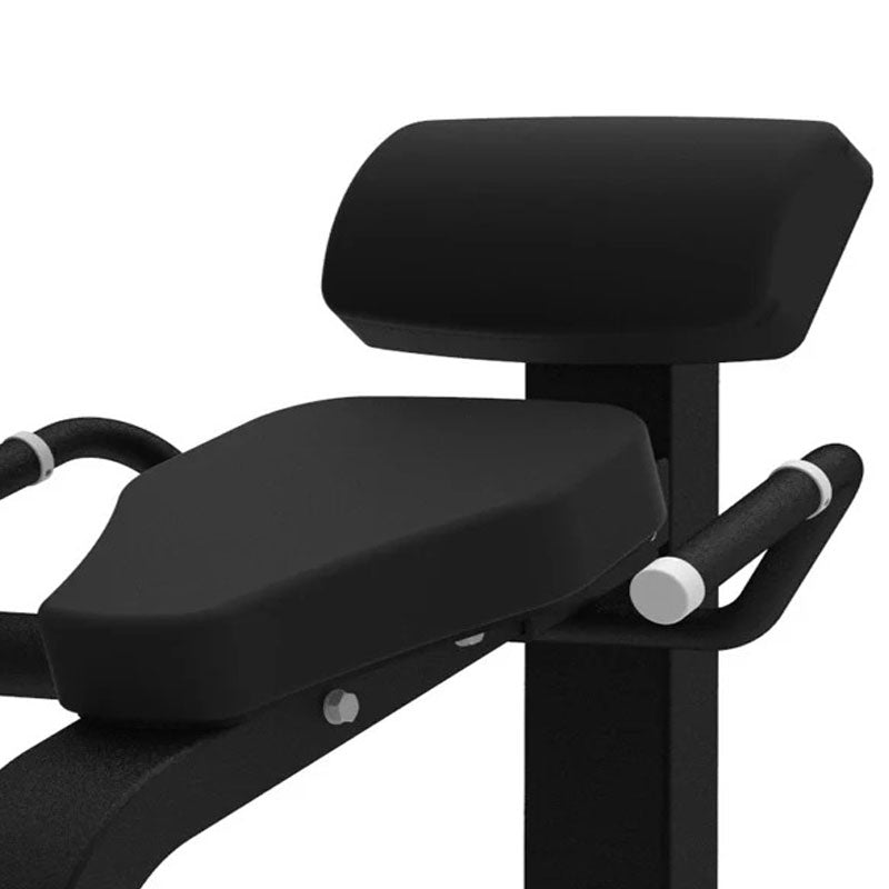Pro Series Back Extension