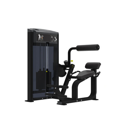 Pro Series Back Extension