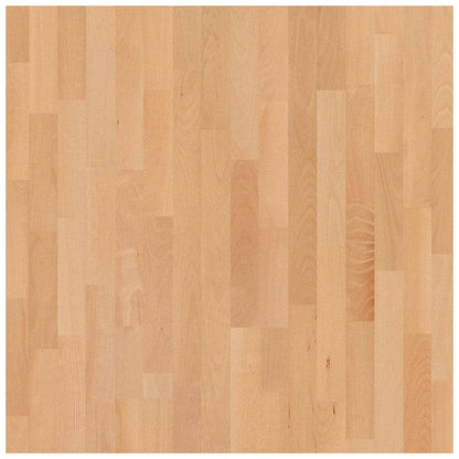 Basketball Court Flooring - Boen Boflex Stadium