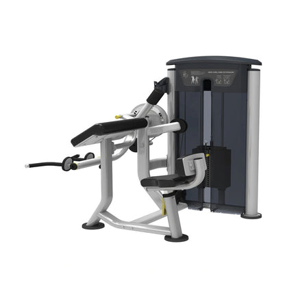 Perform Series Bicep / Tricep