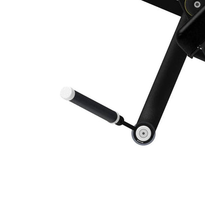 Pro Series, Bicep Curl