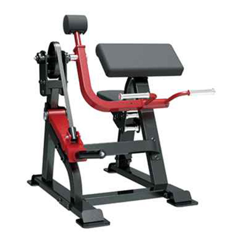Sterling Series Bicep Curl