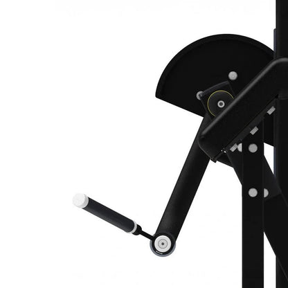 Pro Series, Bicep Curl