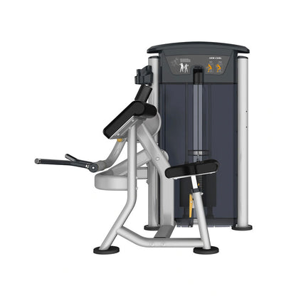 Perform Series Bicep Curl