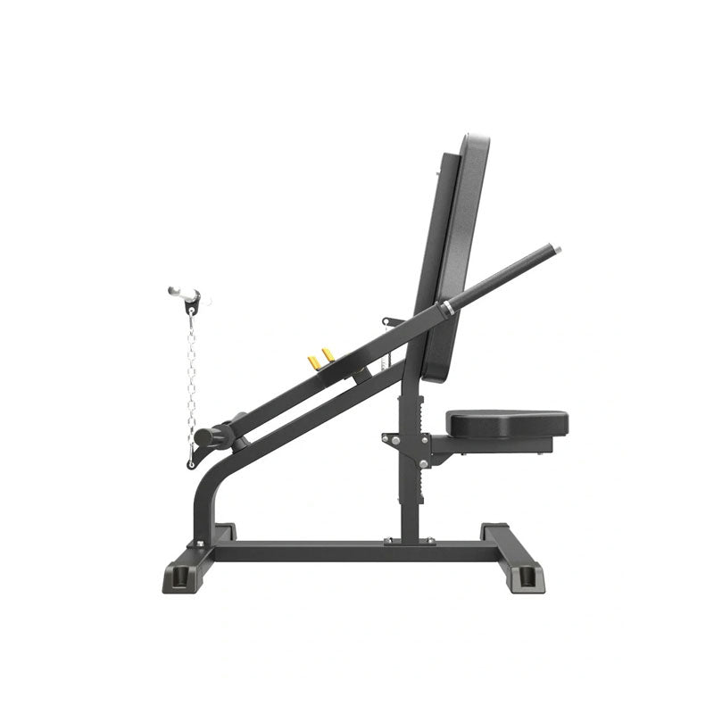 Pro Series Plate Loaded, Bicep Triceps