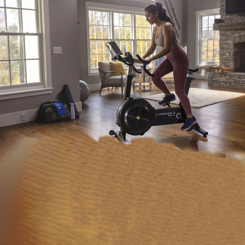 Concept2 BikeErg