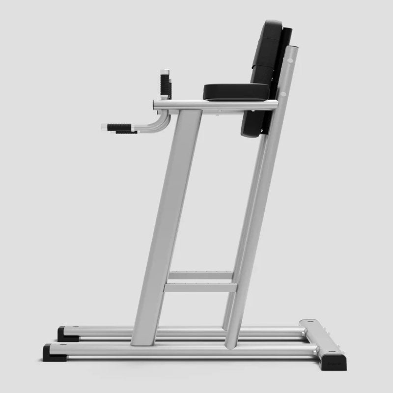 Exigo Leg Raise / Dip Station