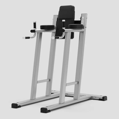 Exigo Leg Raise / Dip Station