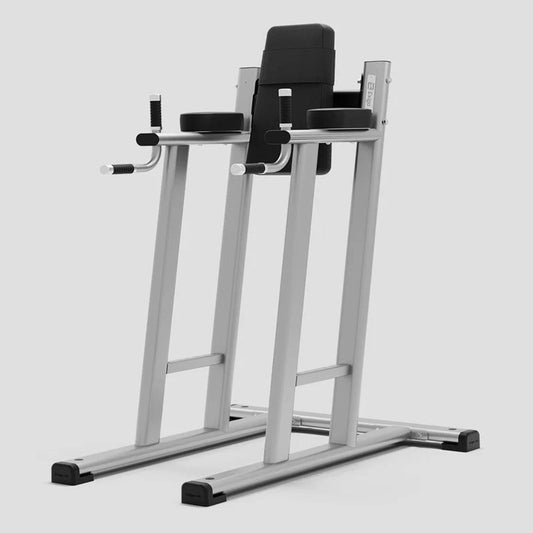 Exigo Leg Raise / Dip Station