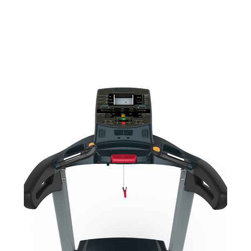 Motion Range