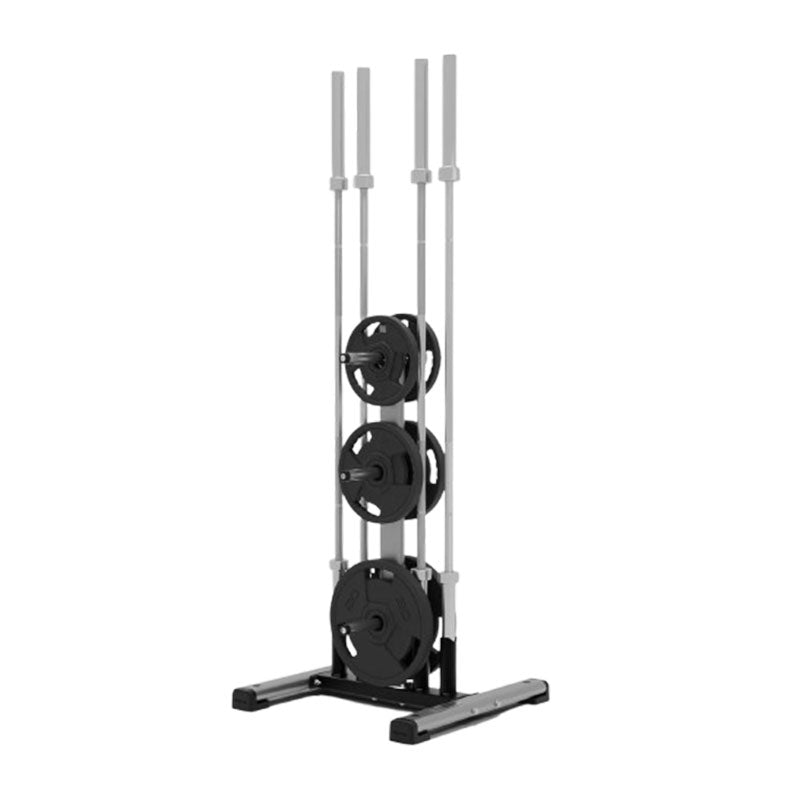Motion Range