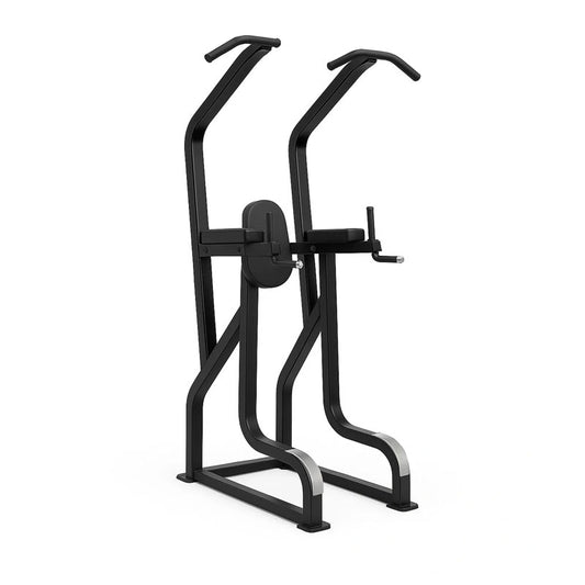 Sterling Series, Chin / Dip / Knee Raise Frame