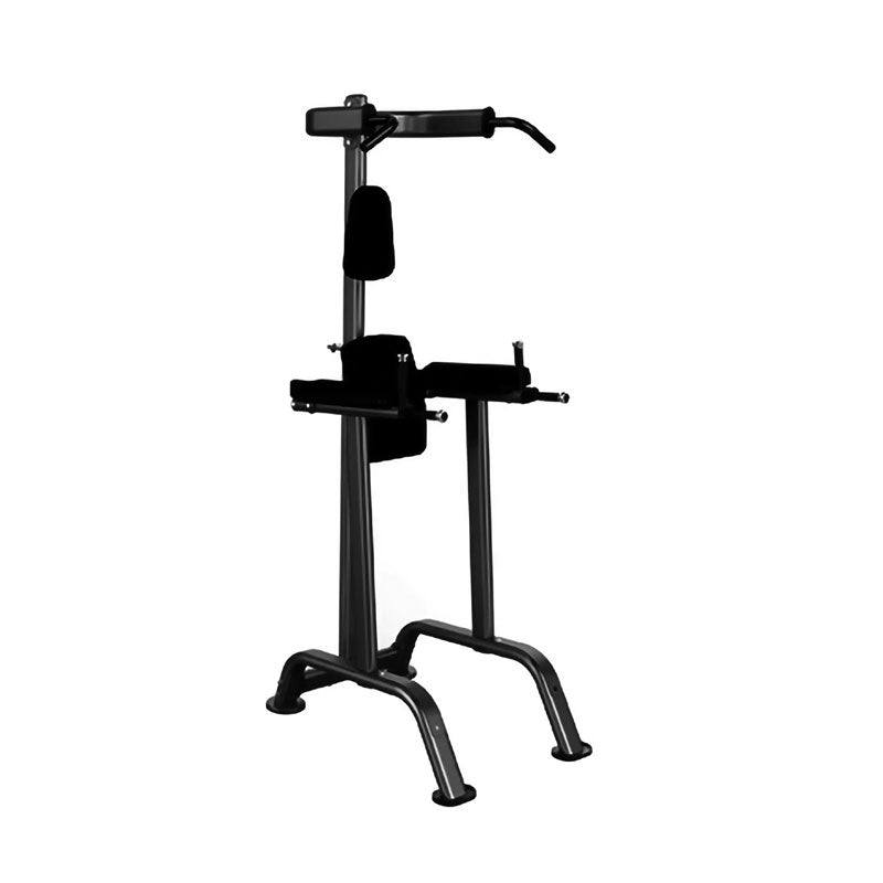 Elite Series Chin/Dip/Knee Raise Frame