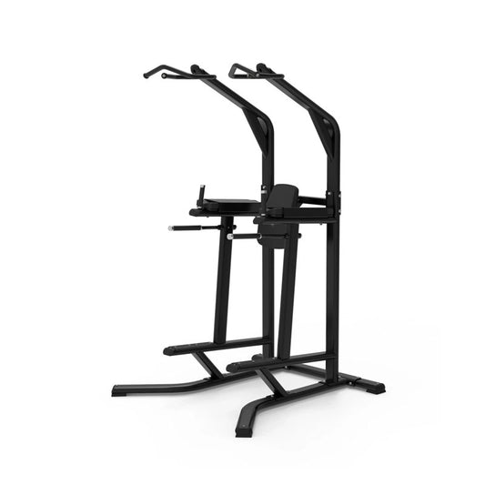 Classic Series Chin / Dip / Knee Raise