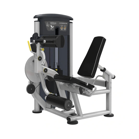 Perform Series Leg Extension / Leg Curl