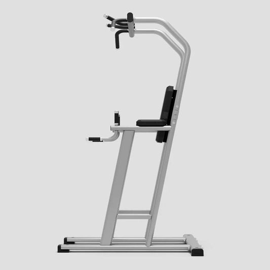 Exigo Chin Dip Leg Raise Station