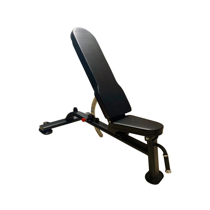 Motion Range