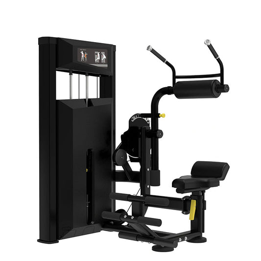 Platinum Series, Abdominal / Back Extension
