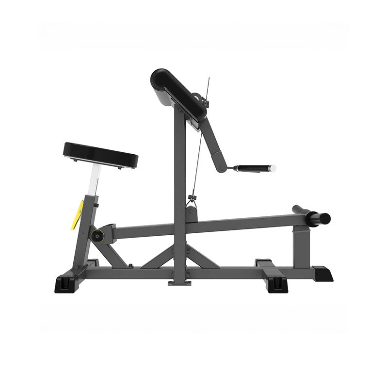 Pro Series Plate Loaded, Bicep Curl