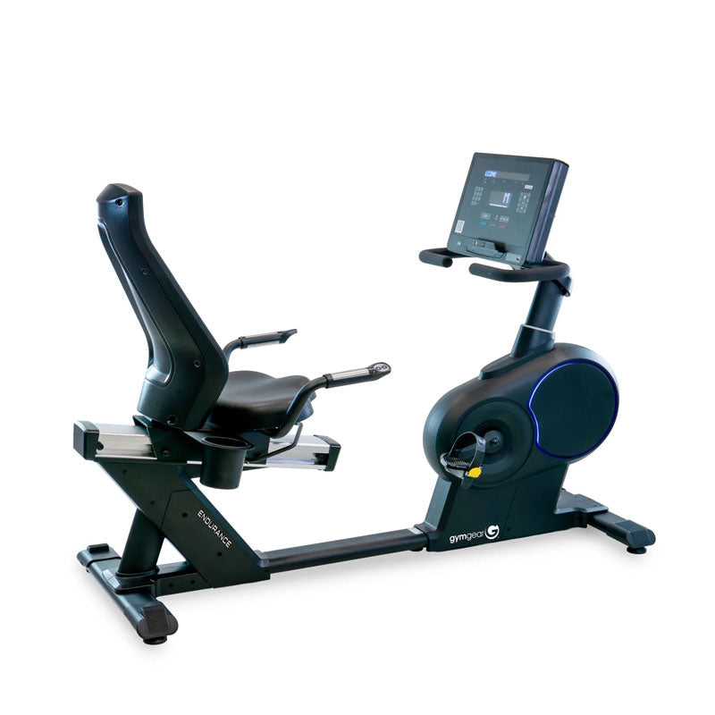 Endurance Recumbent Bike