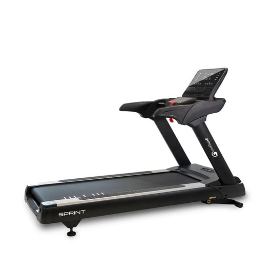 Sprint Treadmill