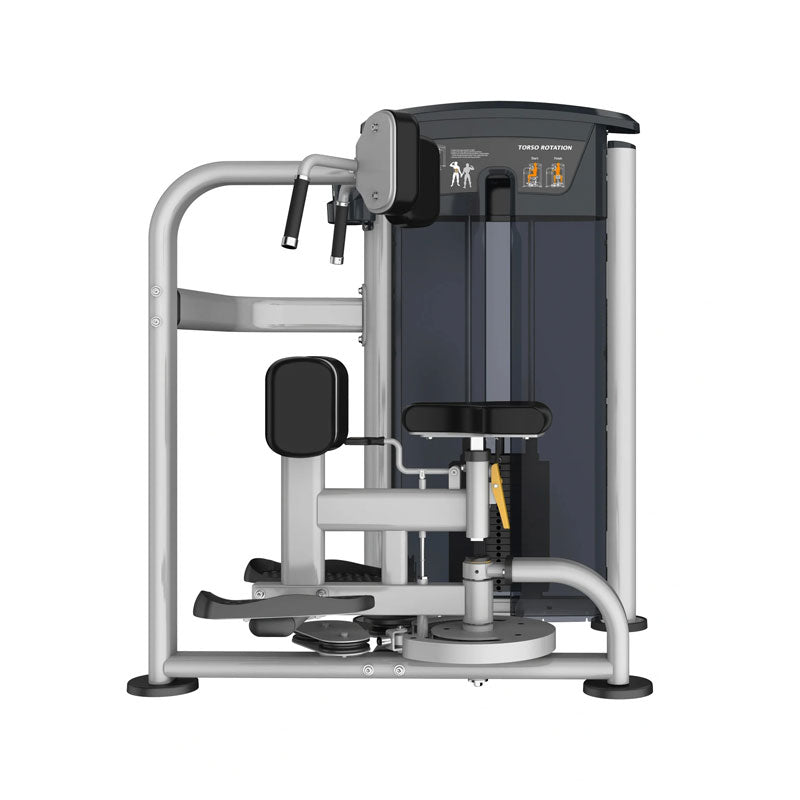 Perform Series Torso Rotation
