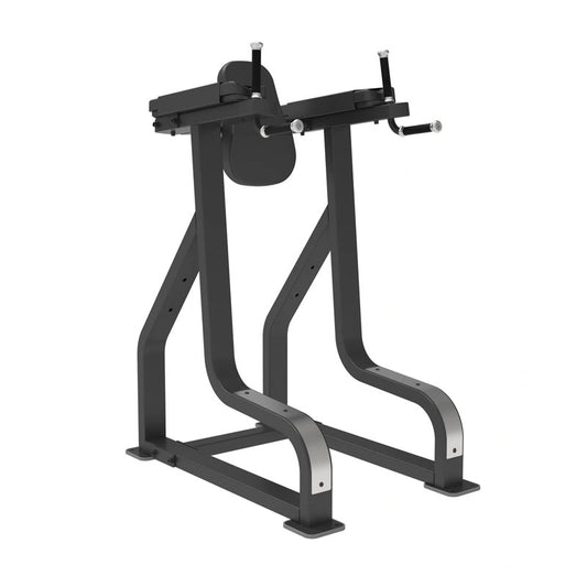Sterling Series Vertical Knee Raise