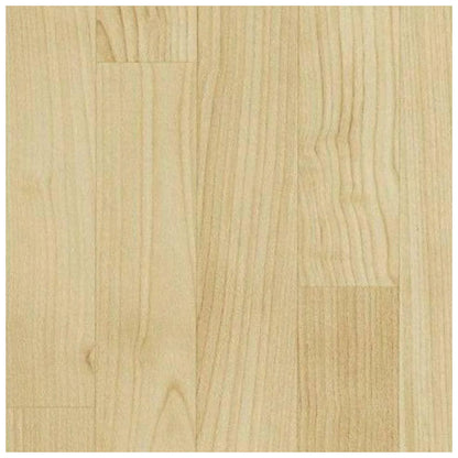 Vinyl Gym Flooring Rolls