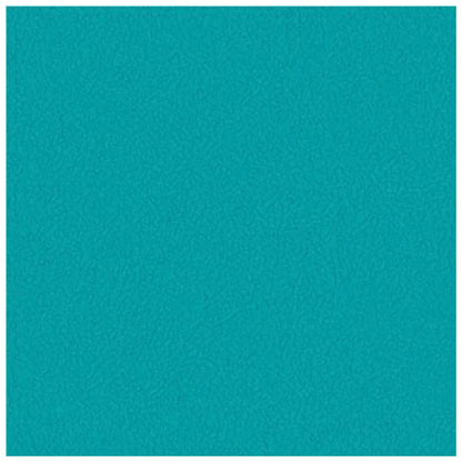Vinyl Gym Flooring Rolls