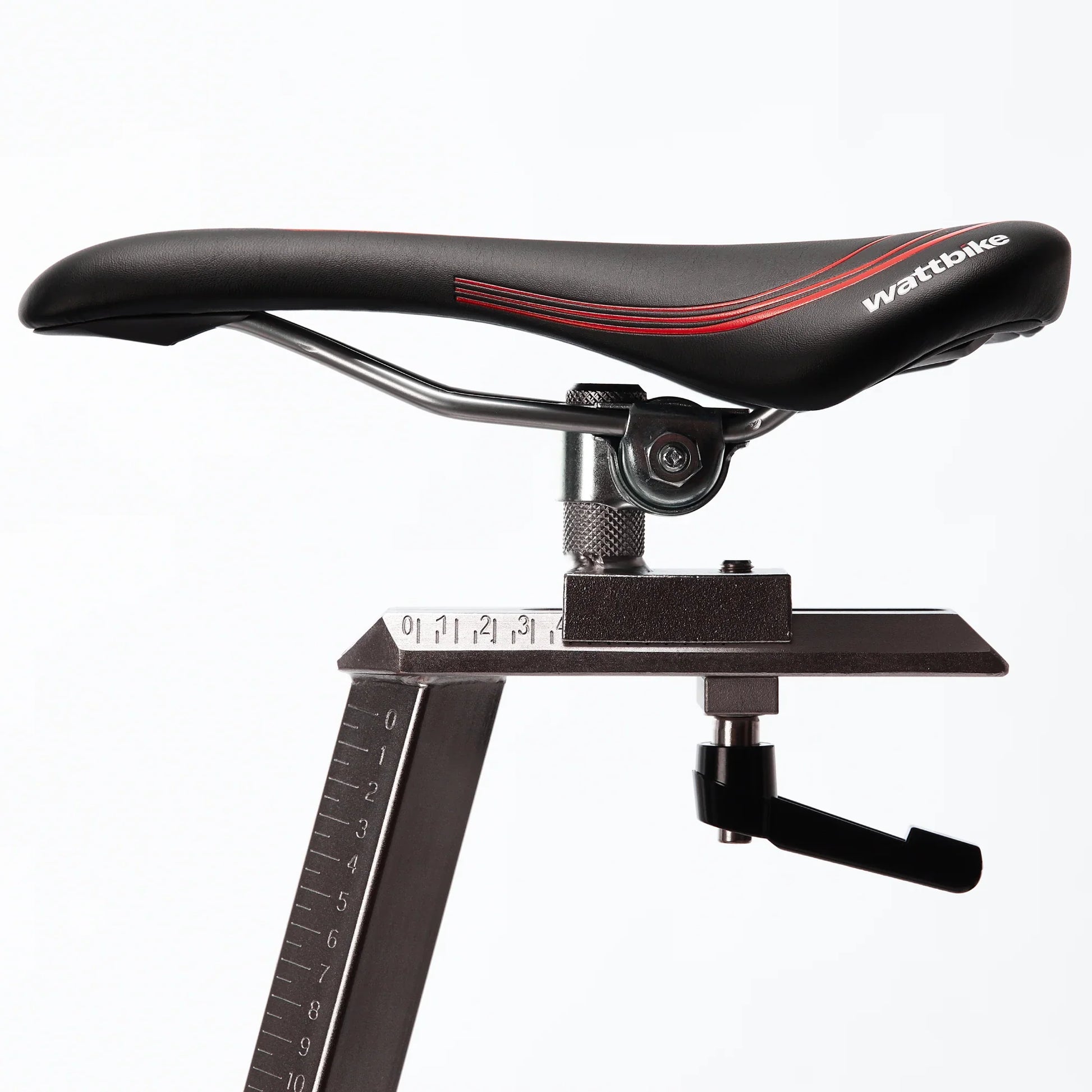 Motion Range