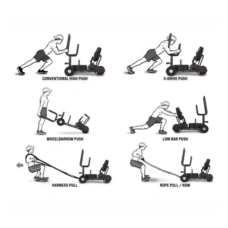 XT3 Plus Sled V2